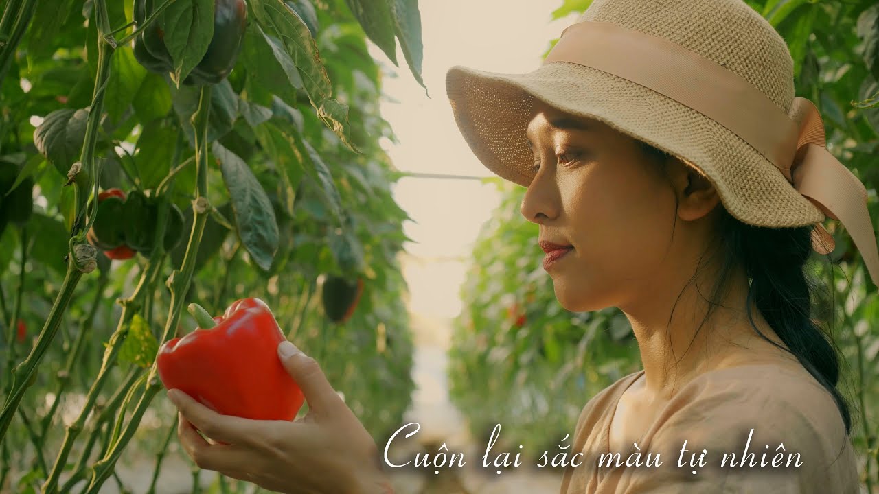 Cơm cuộn rau củ, sắc màu của tự nhiên ngày đầu đông